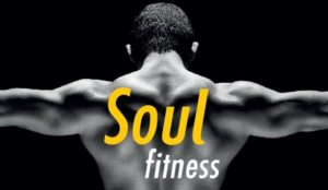 Soul Fitness Academias